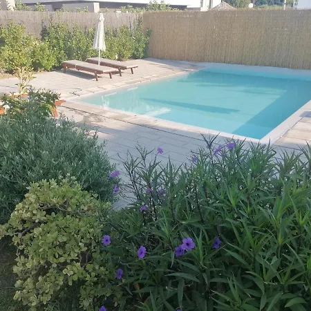 Endless Summer Pool Flat *