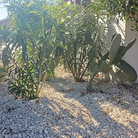 O Kipos Ixia (Rhodes)