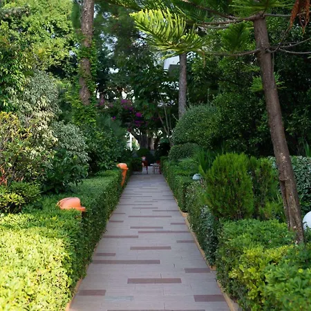 Dionysos Hotel