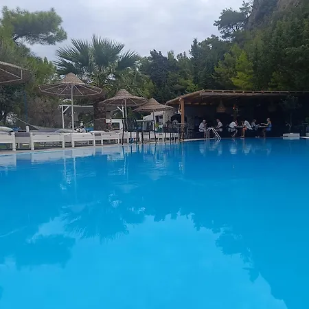 Hotel Trees Art & 3*