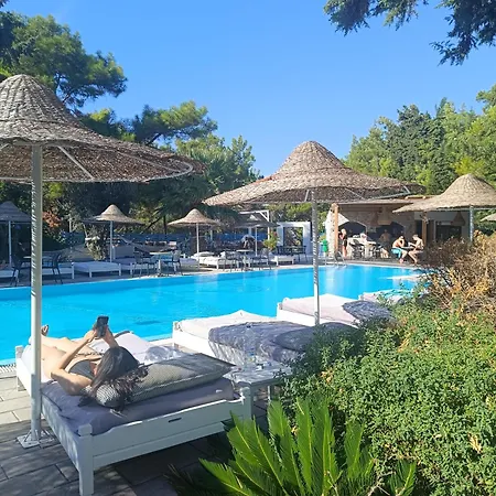 Trees Art & Hotel Ixia (Rhodes)