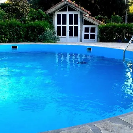 Eden Garden Apartment *