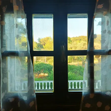 Eden Garden