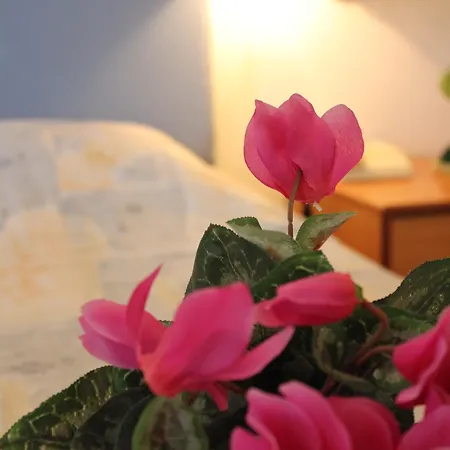 Hotel Filmar Hotel, Ixia, Rhodes