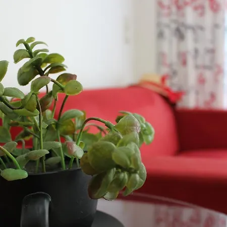 Filmar Hotel, Ixia, Rhodes Hotel 3*